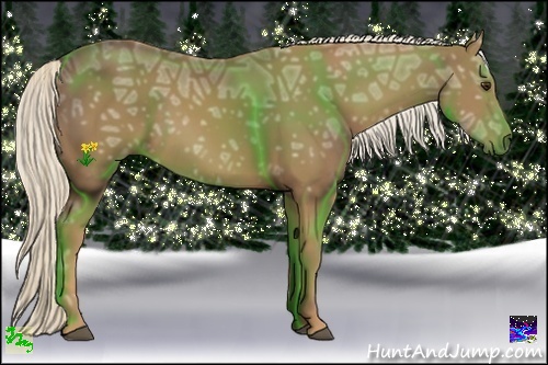 Horse Color:Palomino Ice Sabino