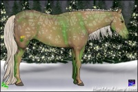 Horse Color:Palomino Ice Sabino