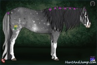 Horse Color:White Spotted Black Splash