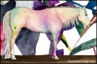 Horse Color:Perlino Sabino Splash