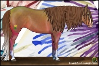 Horse Color:Chestnut Splash 