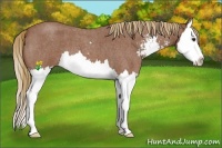 Horse Color:Red Roan Sabino Splash 