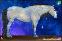 Horse Color:Bay Ice Roan Dun Sabino Splash Frame