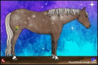 Horse Color:Silver Black 