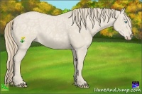 Horse Color:Smoky Creme Ice 