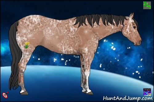 Horse Color:Bay Ice