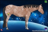 Horse Color:Bay Ice 