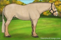 Horse Color:Red Dun Roan Splash Frame Rabicano 