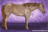 Horse Color:Chestnut Frame