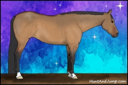 Horse Color:Brown Dun Frame 