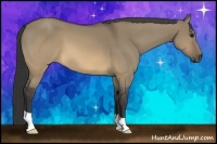 Horse Color:Buckskin Dun 