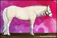 Horse Color:Silver Buckskin Roan Pearl Splash Rabicano