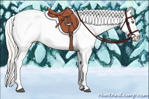 Horse Color:Silver Brown Pearl Sabino Blanket 