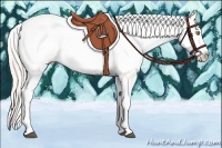 Horse Color:Silver Brown Pearl Sabino Blanket 