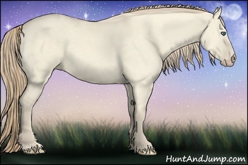 Horse Color:Perlino Dun 