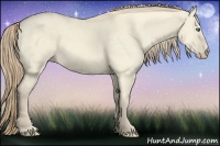 Horse Color:Perlino Dun 