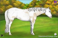 Horse Color:Silver Bay Pearl Dun Sabino