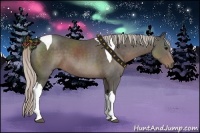 Horse Color:Silver Black Tobiano