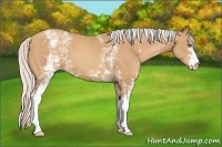 Horse Color:White Spotted Silver Amber Champagne 