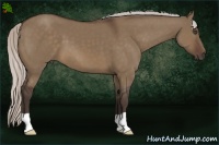 Horse Color:Silver Brown Dun