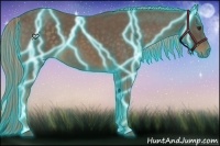 Horse Color:Thunderstruck Chocolate Palomino Roan 