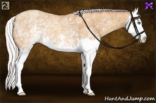 Horse Color:White Spotted Silver Amber Champagne Splash 