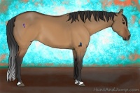 Horse Color:Brown Dun 