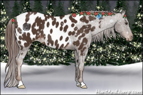 Horse Color:Liver Chestnut Near Leopard 
