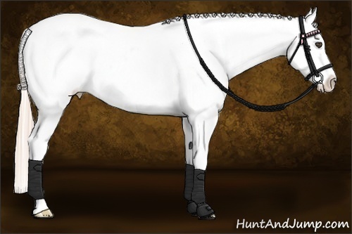 Horse Color:Palomino Dun Tobiano Varnish