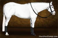 Horse Color:Palomino Dun Tobiano Varnish 