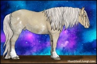 Horse Color:White Spotted Silver Classic Champagne Ice 