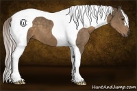 Horse Color:Chocolate Palomino Tobiano Frame 
