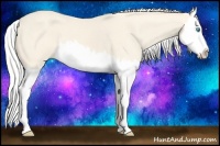 Horse Color:Silver Perlino Splash