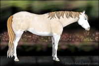 Horse Color:Gold Champagne Ice Pearl Splash 
