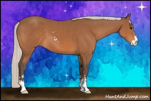 Horse Color:Silver Bay Sabino 
