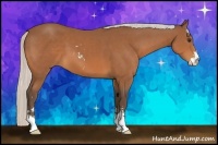 Horse Color:Silver Bay Sabino