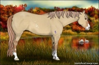 Horse Color:Red Dun Sabino 