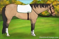 Horse Color:Bay Roan Dun 