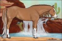 Horse Color:Chestnut Splash 