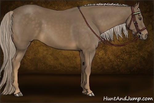 Horse Color:Chocolate Palomino 