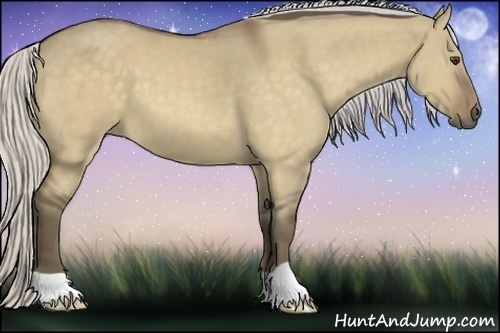 Horse Color:Silver Buckskin Dun 