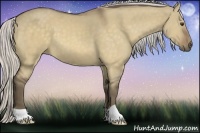 Horse Color:Silver Buckskin Dun 