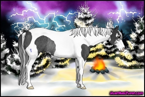 Horse Color:Black Sabino Tobiano Rabicano 