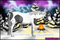 Horse Color:Black Sabino Tobiano Rabicano 