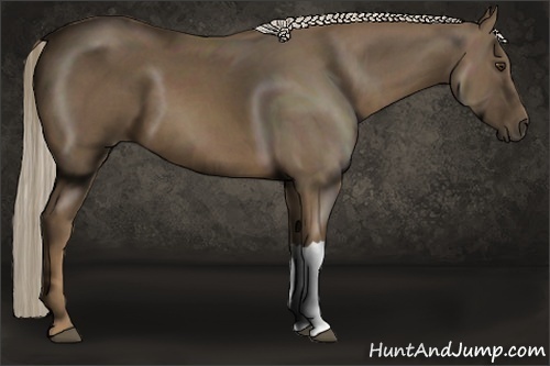 Horse Color:Chocolate Palomino 