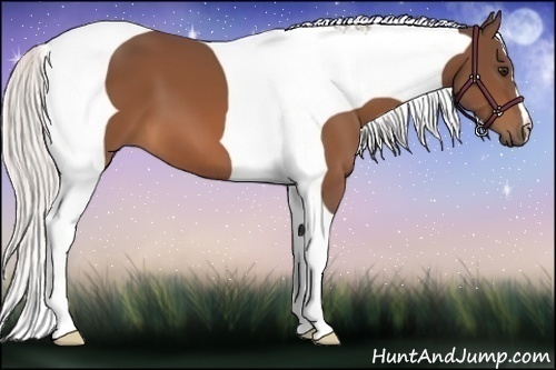 Horse Color:Silver Bay Tobiano