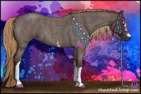 Horse Color:White Spotted Liver Red Roan 