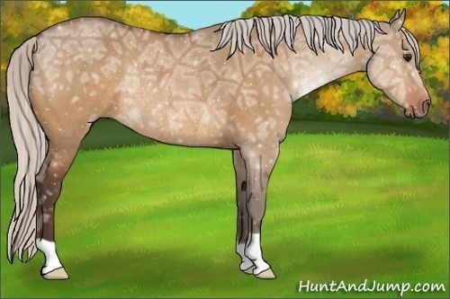 Horse Color:Silver Bay Ice Dun Rabicano 