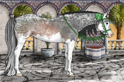 Horse Color:Brown Ice Splash Rabicano 