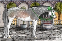 Horse Color:Brown Ice Splash Rabicano